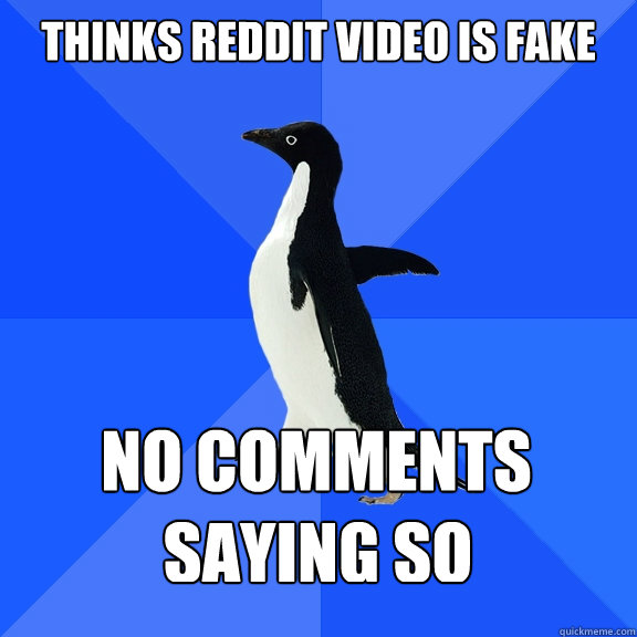 Thinks reddit video is fake No comments Saying so    Socially Awkward Penguin