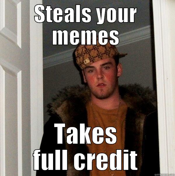 STEALS YOUR MEMES TAKES FULL CREDIT Scumbag Steve