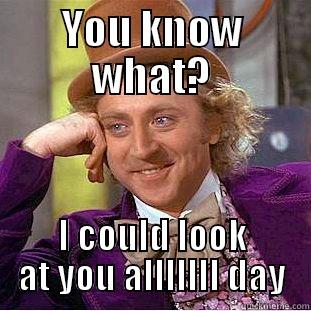 YOU KNOW WHAT? I COULD LOOK AT YOU ALLLLLLL DAY Condescending Wonka