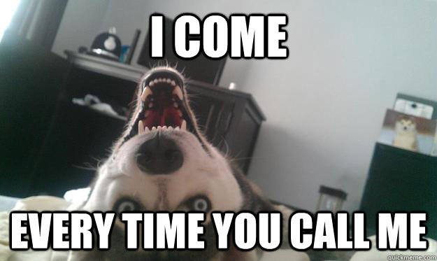 I come Every time you call me  Over Obsessive Dog