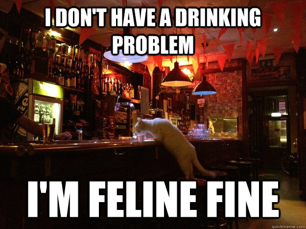 I don't have a drinking problem I'm feline fine  Alcoholic Cat