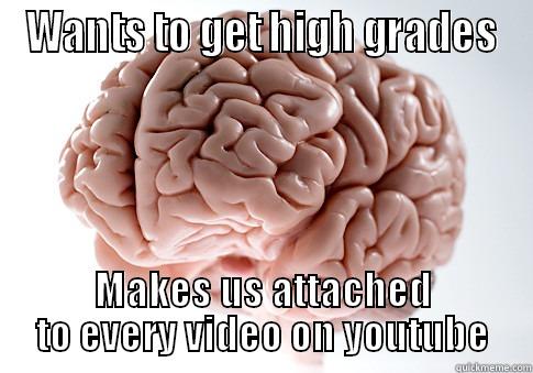 WANTS TO GET HIGH GRADES MAKES US ATTACHED TO EVERY VIDEO ON YOUTUBE Scumbag Brain