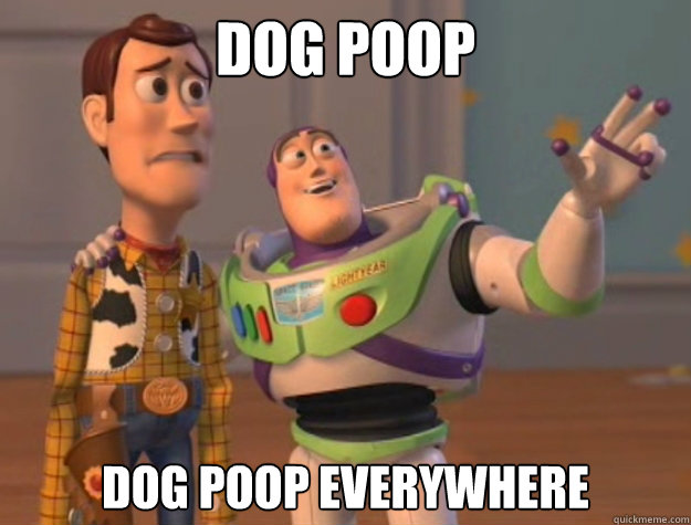 Dog Poop Dog poop everywhere  Buzz Lightyear