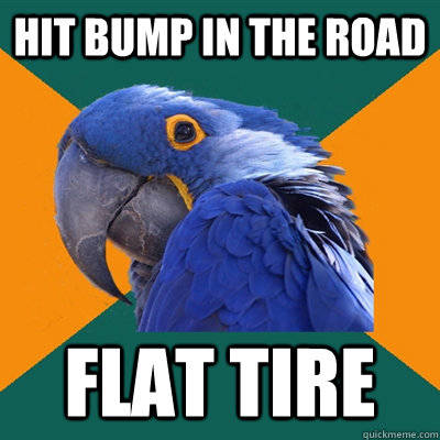 HIT BUMP IN THE ROAD FLAT TIRE  Paranoid Parrot