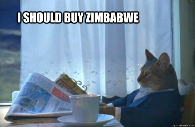 I should buy Zimbabwe  Sophisticated Cat