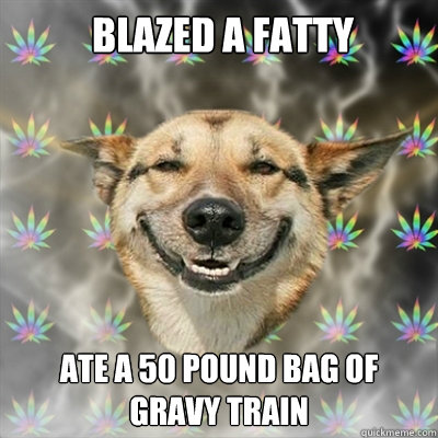  blazed a fatty ate a 50 pound bag of gravy train -  blazed a fatty ate a 50 pound bag of gravy train  Stoner Dog