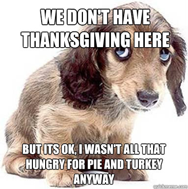 We don't have thanksgiving here But its OK, I wasn't all that hungry for pie and turkey anyway  Sad Puppy