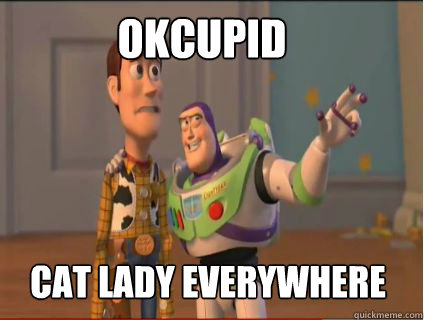 okcupid Cat Lady Everywhere  woody and buzz