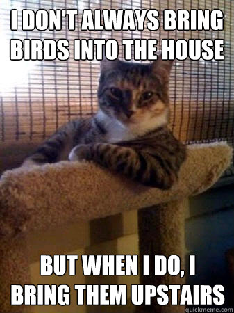 I don't always bring birds into the house but when I do, i bring them upstairs  The Most Interesting Cat in the World