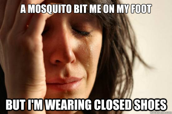 A mosquito bit me on my foot but i'm wearing closed shoes  First World Problems