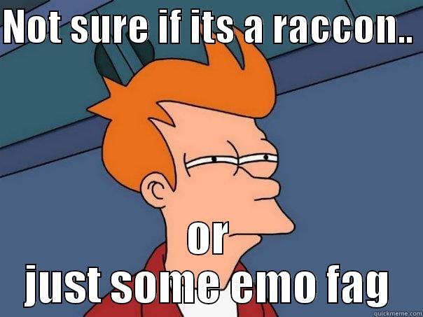 NOT SURE IF ITS A RACCON..  OR JUST SOME EMO FAG Futurama Fry