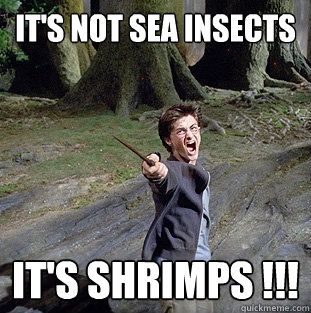 It's not sea insects  It's shrimps !!!  Pissed off Harry