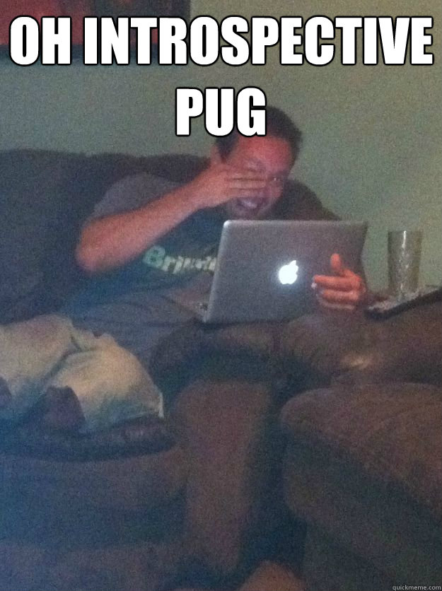 OH INTROSPECTIVE PUG  - OH INTROSPECTIVE PUG   Misc