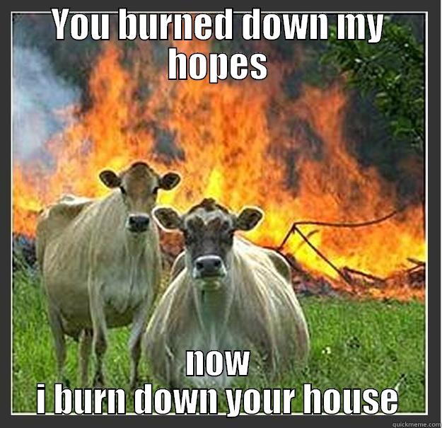 my life - YOU BURNED DOWN MY HOPES NOW I BURN DOWN YOUR HOUSE Evil cows