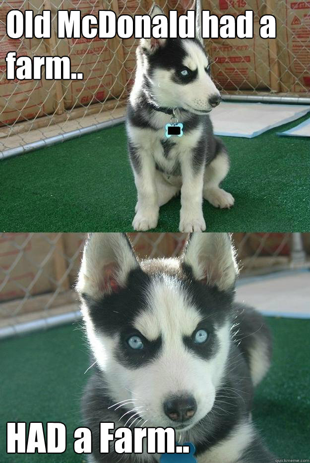Old McDonald had a farm.. HAD a Farm..  Insanity puppy