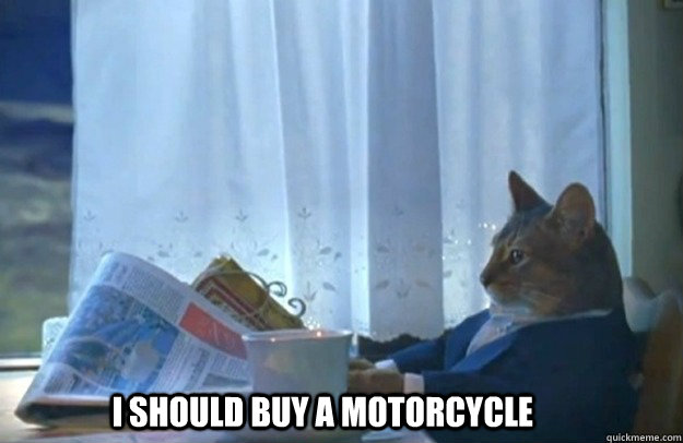 I SHOULD BUY A MOTORCYCLE  Sophisticated Cat is broke