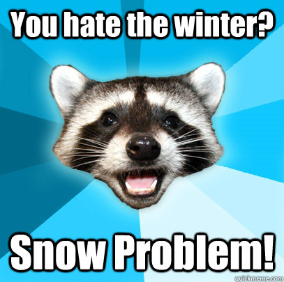 You hate the winter? Snow Problem!  Lame Pun Coon