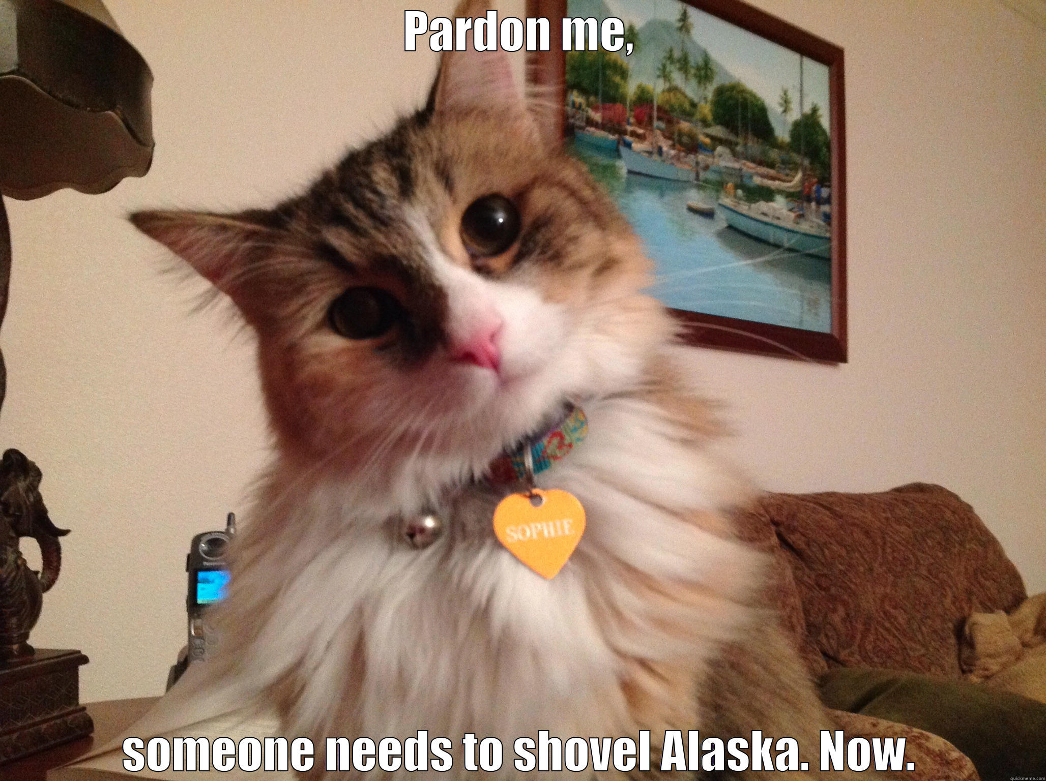 PARDON ME, SOMEONE NEEDS TO SHOVEL ALASKA. NOW. Misc