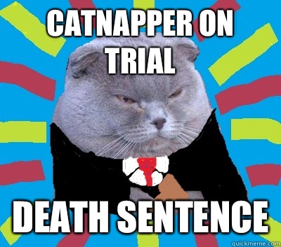 Catnapper on trial Death sentence  Judge Cat