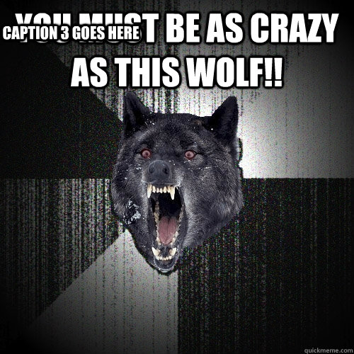 YOU MUST BE AS CRAZY AS THIS WOLF!!  Caption 3 goes here - YOU MUST BE AS CRAZY AS THIS WOLF!!  Caption 3 goes here  Insanity Wolf