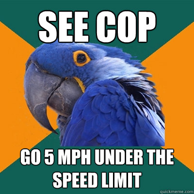 See cop  go 5 mph under the speed limit  Paranoid Parrot