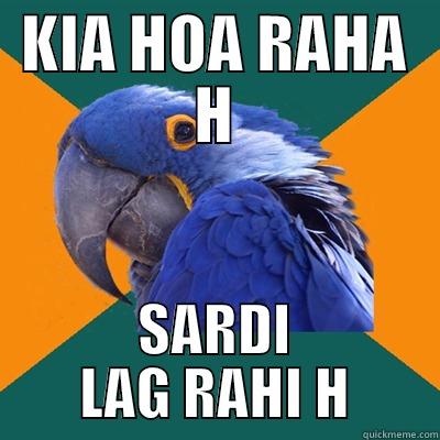 SARDI LAG RAHI H  - KIA HOA RAHA H SARDI LAG RAHI H Paranoid Parrot