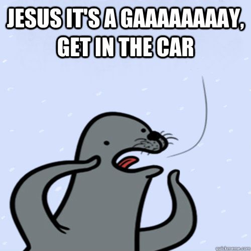 JESUS IT'S A GAAAAAAAAY, GET IN THE CAR  - JESUS IT'S A GAAAAAAAAY, GET IN THE CAR   Indifferent Seal