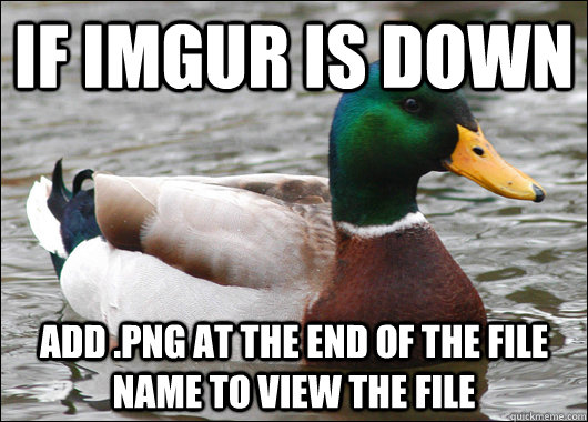 If Imgur is down add .png at the end of the file name to view the file  Actual Advice Mallard