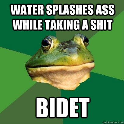 Water splashes ass while taking a shit Bidet  Foul Bachelor Frog