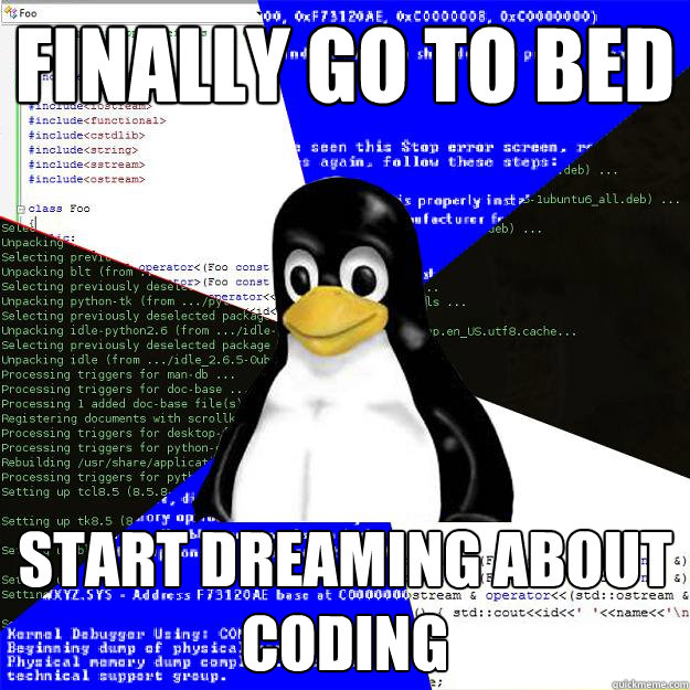 Finally go to bed Start dreaming about coding  Computer Science Penguin