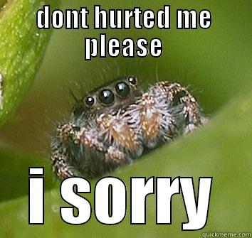 DONT HURTED ME PLEASE I SORRY Misunderstood Spider
