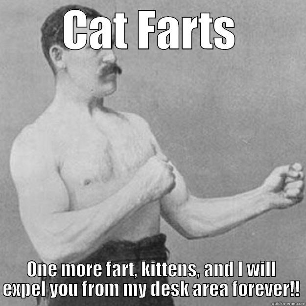 If these adorable kittens fart  - CAT FARTS ONE MORE FART, KITTENS, AND I WILL EXPEL YOU FROM MY DESK AREA FOREVER!! overly manly man