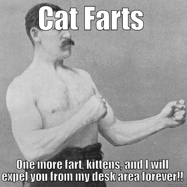 CAT FARTS ONE MORE FART, KITTENS, AND I WILL EXPEL YOU FROM MY DESK AREA FOREVER!! overly manly man