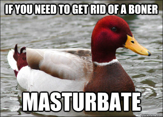 If you need to get rid of a boner Masturbate  Malicious Advice Mallard