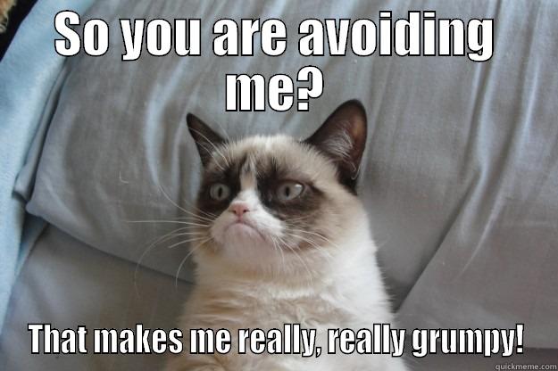 SO YOU ARE AVOIDING ME? THAT MAKES ME REALLY, REALLY GRUMPY! Grumpy Cat