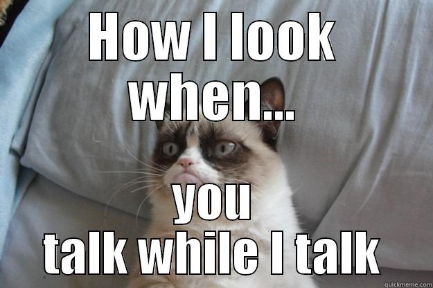 grumpy teacher - HOW I LOOK WHEN... YOU TALK WHILE I TALK Grumpy Cat