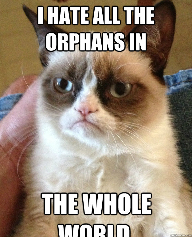 I hate all the orphans in  the whole world. - I hate all the orphans in  the whole world.  Misc