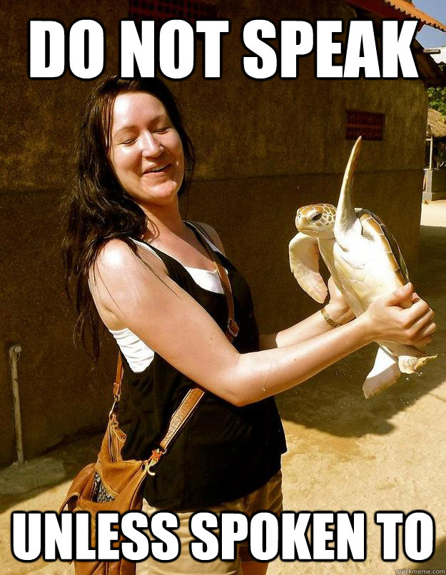 Do not speak unless spoken to  Domestic Violence Turtle