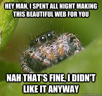 Hey man, I spent all night making this beautiful web for you nah that's fine, I didn't like it anyway - Hey man, I spent all night making this beautiful web for you nah that's fine, I didn't like it anyway  Misunderstood Spider