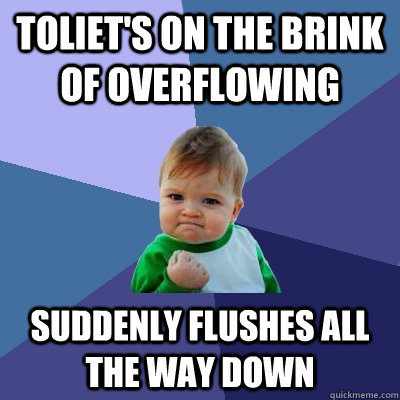 toliet's on the brink of overflowing suddenly flushes all the way down - toliet's on the brink of overflowing suddenly flushes all the way down  Success Kid