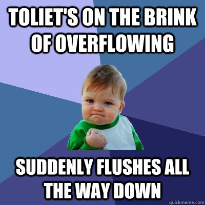 toliet's on the brink of overflowing suddenly flushes all the way down  Success Kid