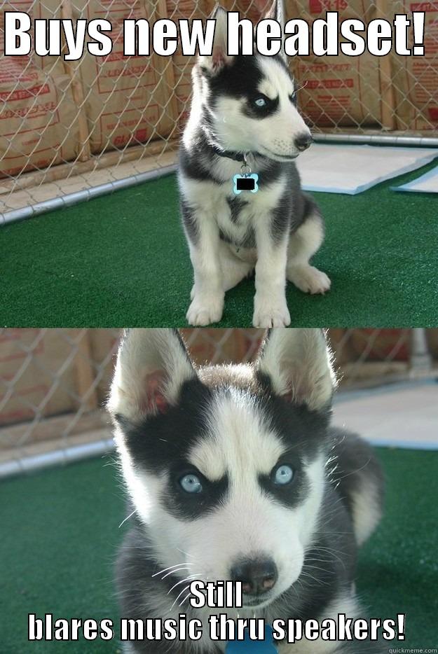 BUYS NEW HEADSET!  STILL BLARES MUSIC THRU SPEAKERS! Insanity puppy