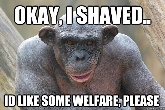 Okay, I shaved.. Id like some welfare, please  The Most Interesting Chimp In The World