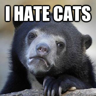 I hate cats  - I hate cats   Misc