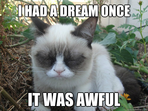 I HAD A DREAM ONCE IT WAS AWFUL  Poor Grumpy Cat