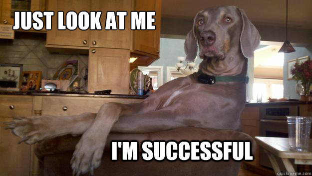Just look at me I'm successful  