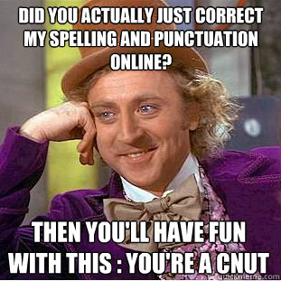 did you actually just correct  my spelling and punctuation online? then you'll have fun with this : you're a cnut  Condescending Wonka