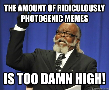 The amount of ridiculously photogenic memes is too damn high!  Too Damn High