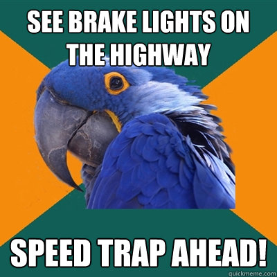 see brake lights on the highway Speed trap ahead!  Paranoid Parrot