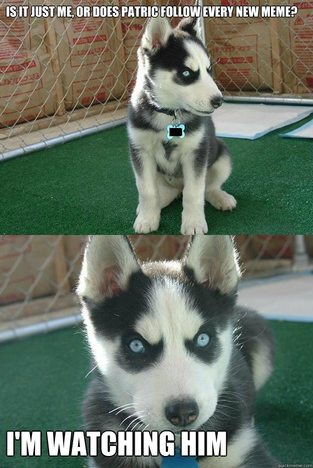 is it just me, or does patric follow every new meme? i'm watching him  Insanity puppy